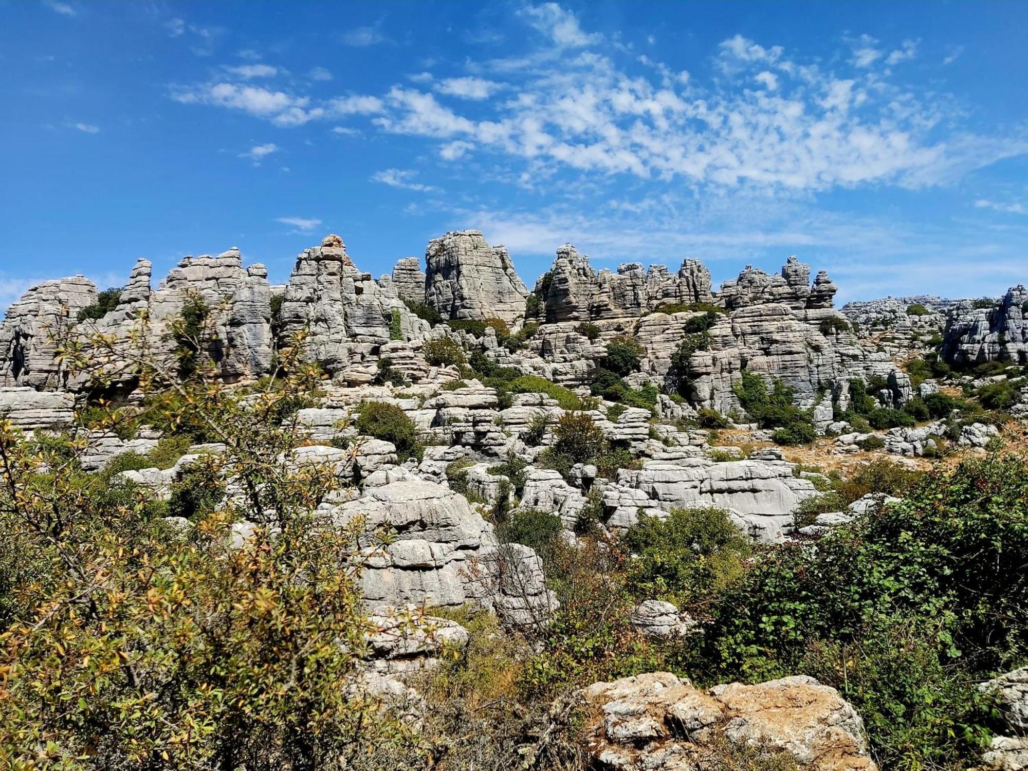 Cactus Hill - Safari Tents - Caminito Del Rey Álora Zewnętrze zdjęcie